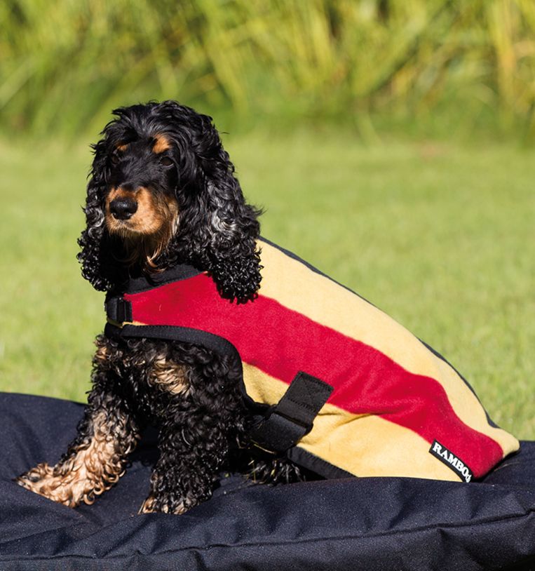 Pets - Apparel – Maine Horse and Rider