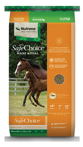 SafeChoice Mare and Foal
