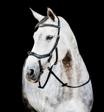 Load image into Gallery viewer, Rambo Micklem 2 Multi-Bridle with Reins