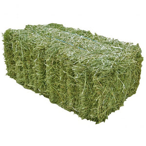 Canadian Hay