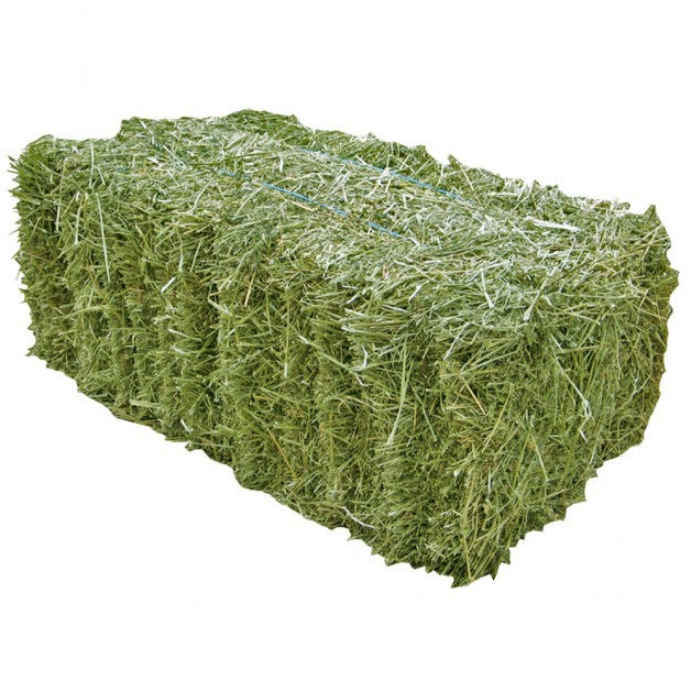 Canadian Hay