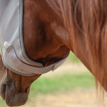 Load image into Gallery viewer, Cashel Fly Mask with Long Nose