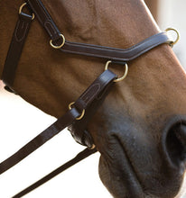 Load image into Gallery viewer, * Rambo Micklem Multi-Bridle with Reins