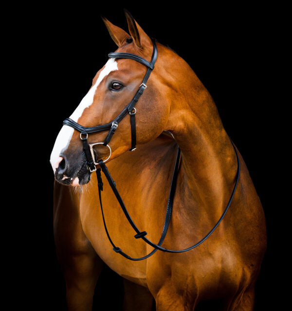 Rambo Micklem 2 Deluxe Competition Bridle with Reins