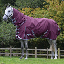 Load image into Gallery viewer, Weatherbeeta Comfitec Plus Detach-A-Neck Mid Weight