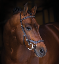 Load image into Gallery viewer, * Rambo Micklem Deluxe Competition Bridle with Reins