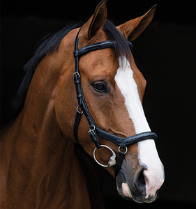 * Rambo Micklem Deluxe Competition Bridle with Reins