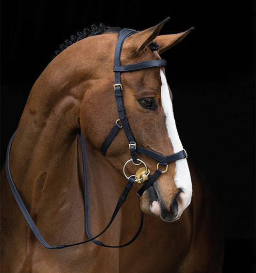 * Rambo Micklem Multi-Bridle without Reins