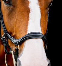Load image into Gallery viewer, Rambo Micklem 2 Diamante Competition Bridle