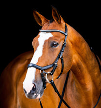 Load image into Gallery viewer, Rambo Micklem 2 Diamante Competition Bridle
