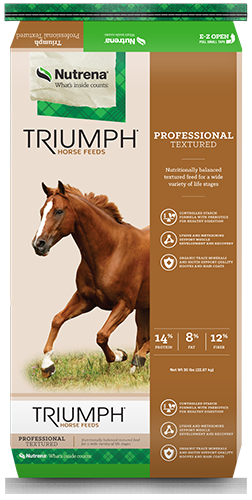 Triumph Professional Textured